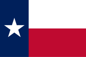 Texas Business Insurance Requirements