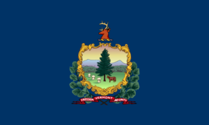Vermont Business Insurance Requirements